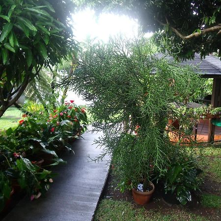 Les Agapanthes Villa Le Tampon Exterior photo