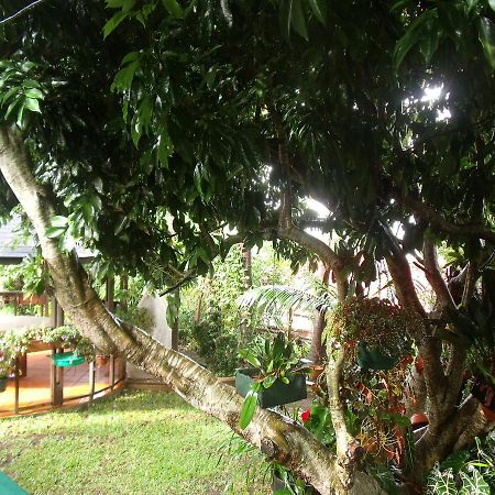 Les Agapanthes Villa Le Tampon Exterior photo
