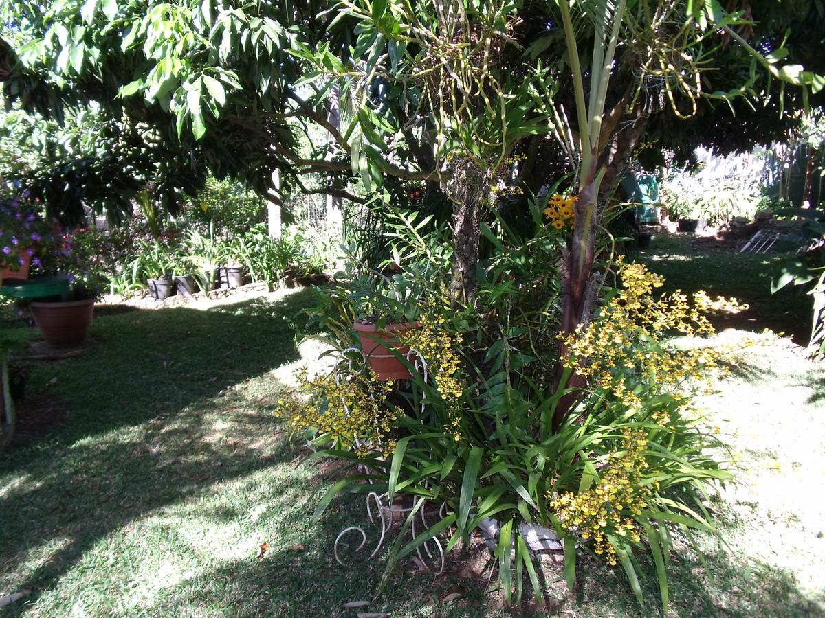 Les Agapanthes Villa Le Tampon Exterior photo