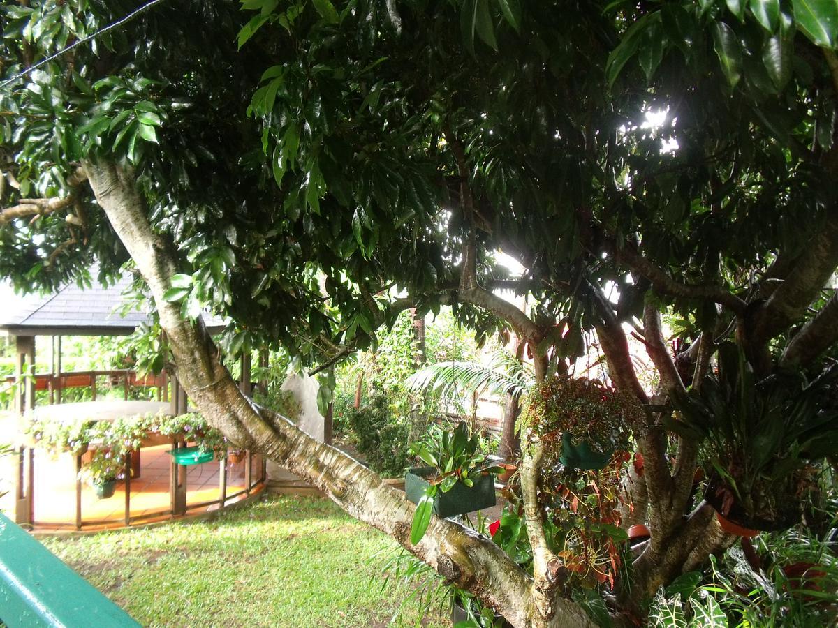 Les Agapanthes Villa Le Tampon Exterior photo